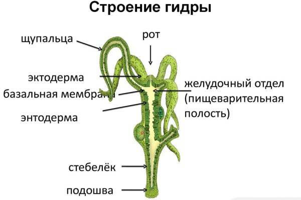 Ссылка на кракен тор магазин