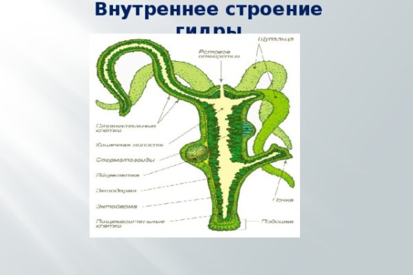 Ссылки на дарк нет