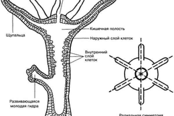 Кракен ссылка рп